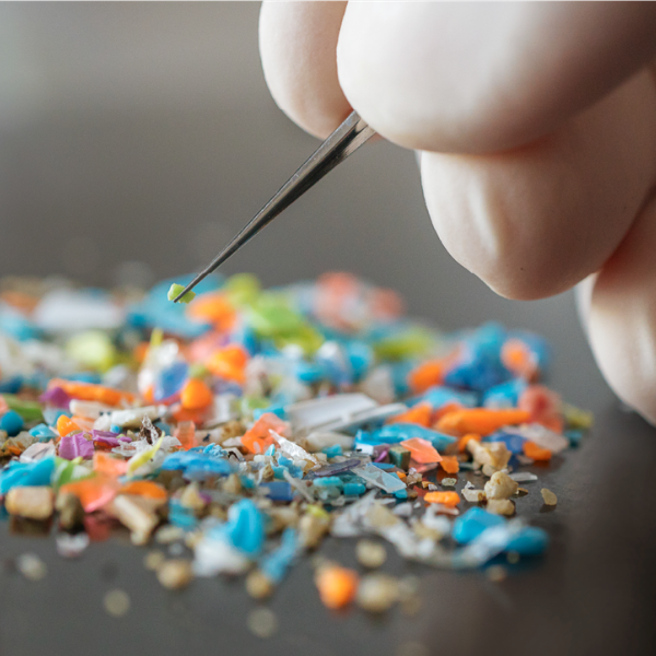 A Spoonful of Plastic in the Brain